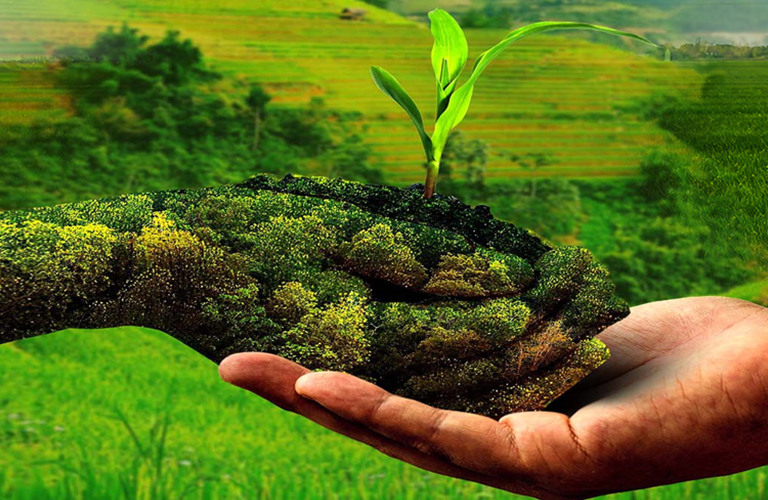 Sustainable farming landscape